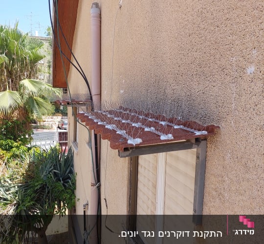 דוקרנים למניעת יונים על גג קטן מעל חלון